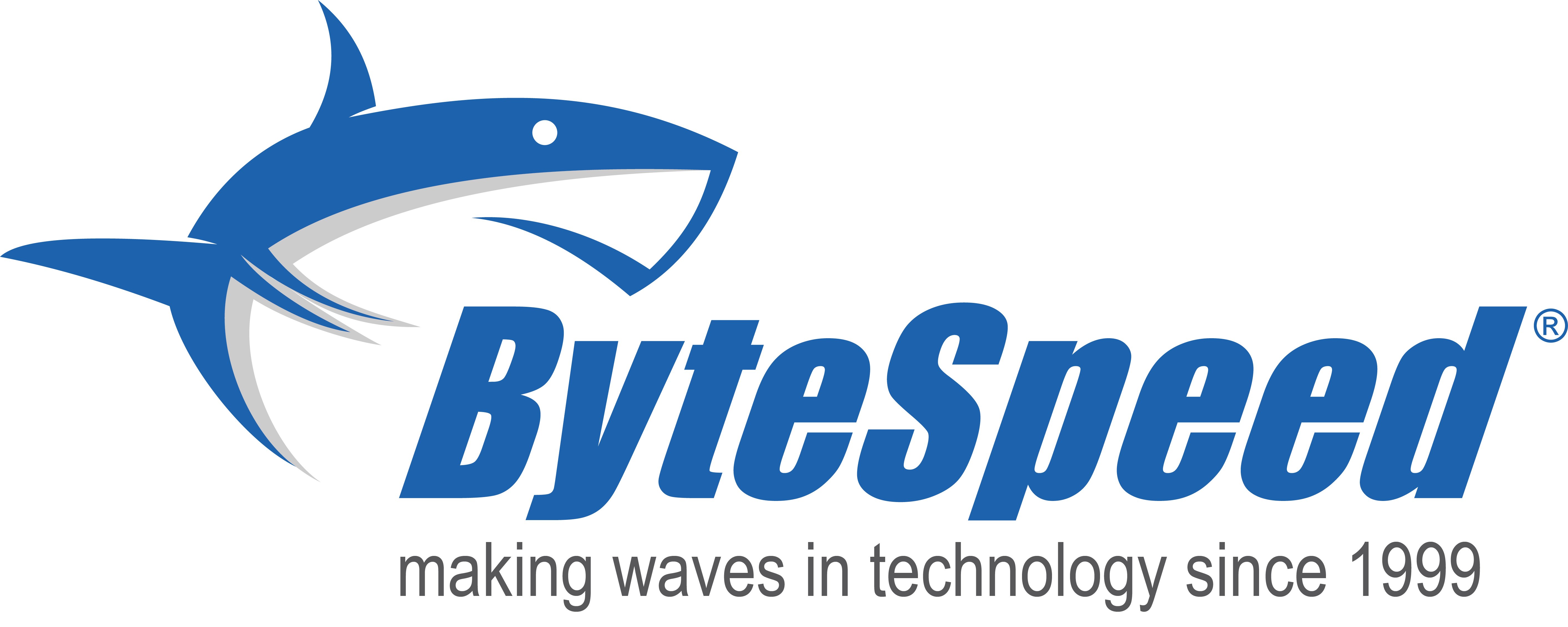 ByteSpeed Shark Blue logo.png - 241.65 Kb